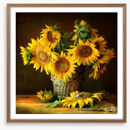 Sunflowers