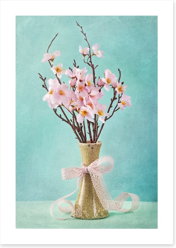 Spring apple blossoms