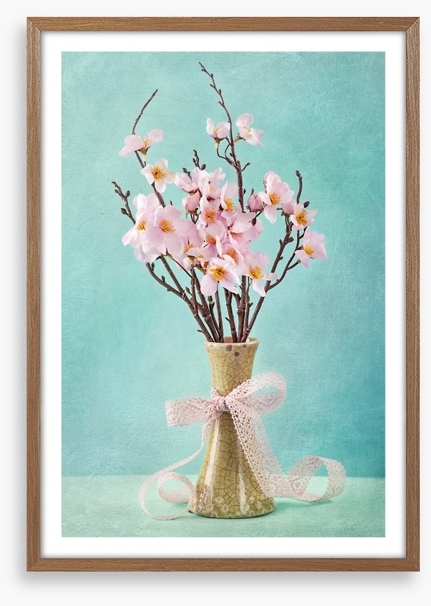Spring apple blossoms