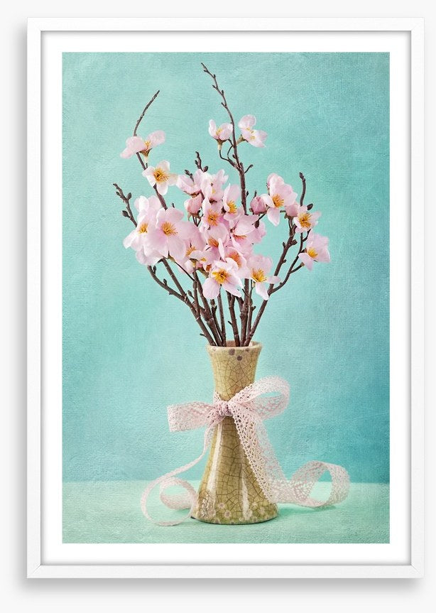 Spring apple blossoms