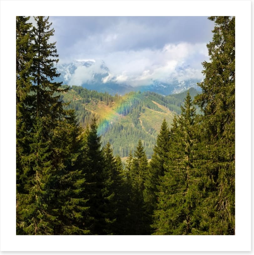 Rainbows