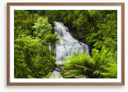 Ancient fern falls in The Otways
