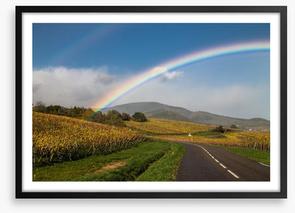 Rainbows