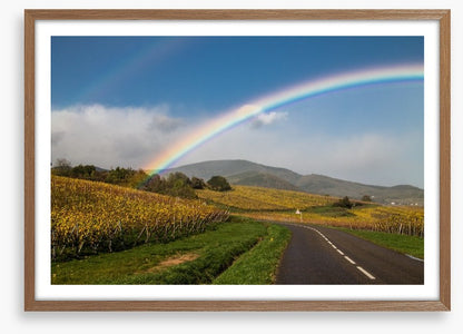 Rainbows