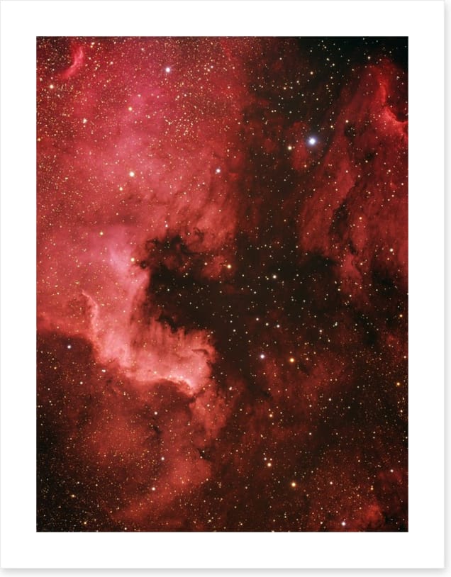 Pelican nebula