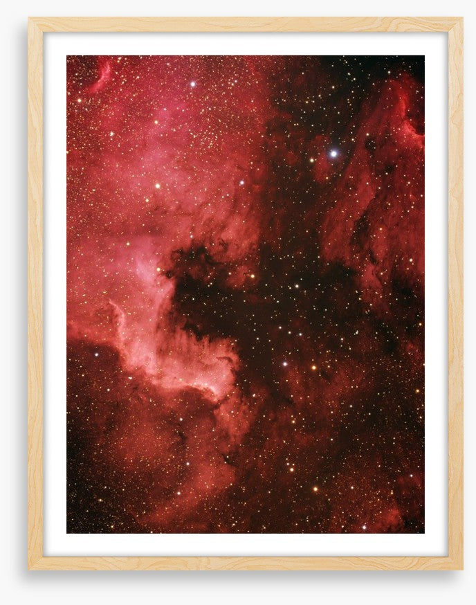 Pelican nebula