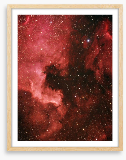 Pelican nebula
