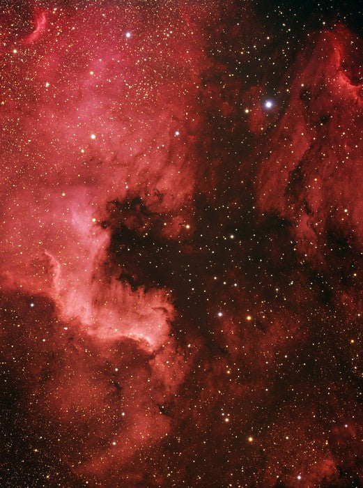 Pelican nebula