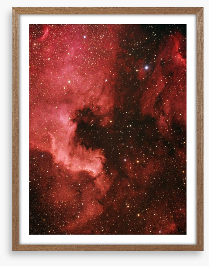 Pelican nebula