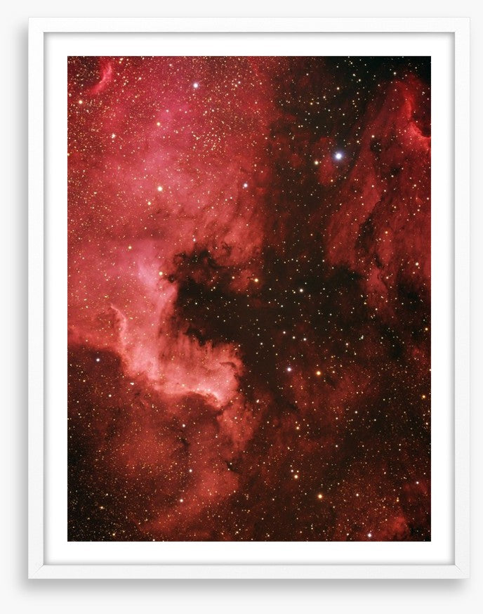 Pelican nebula