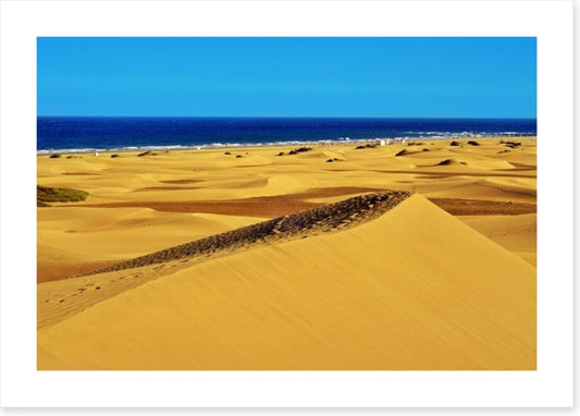 Desert