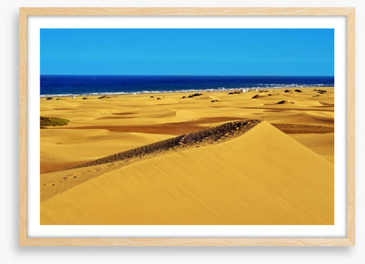 Desert