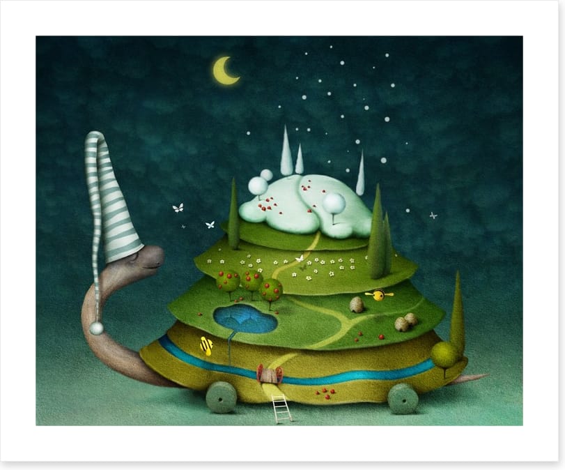 Sleeping fairy turtle