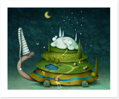 Sleeping fairy turtle