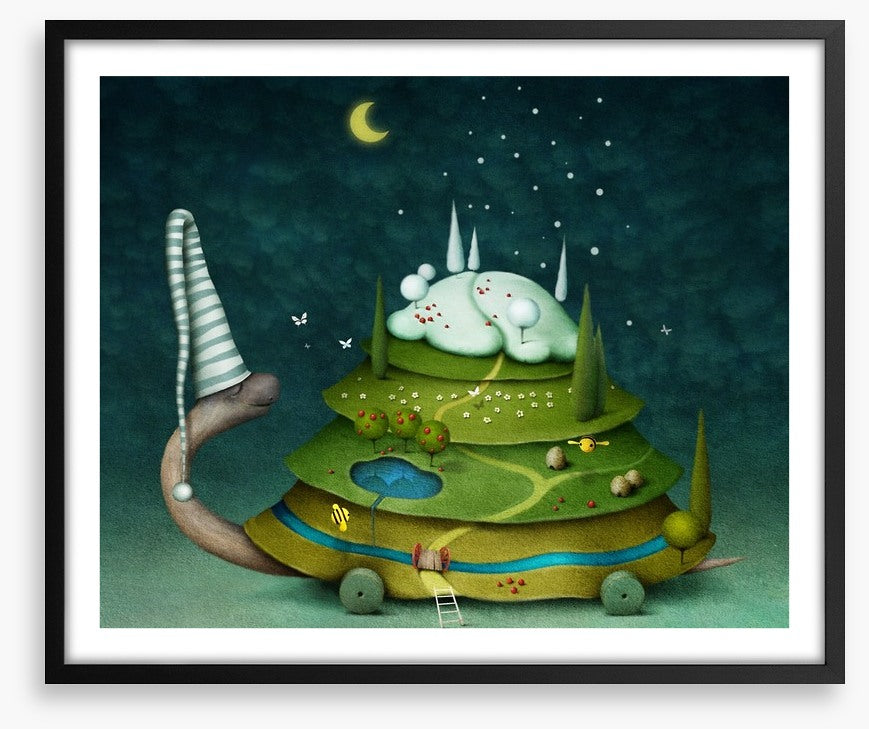 Sleeping fairy turtle