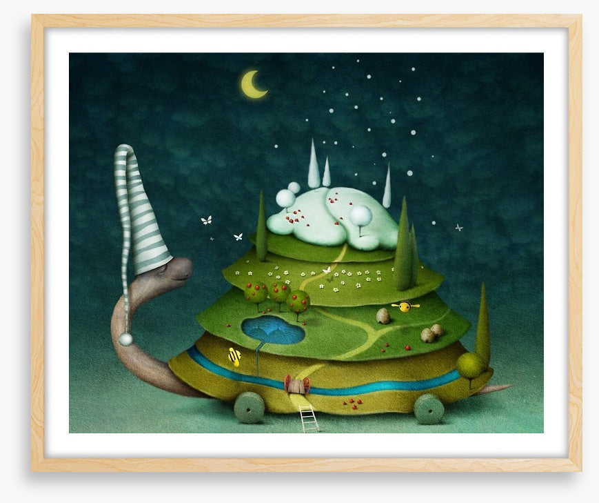 Sleeping fairy turtle