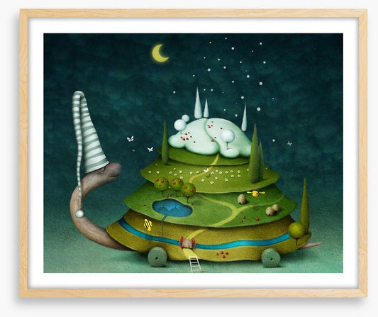 Sleeping fairy turtle
