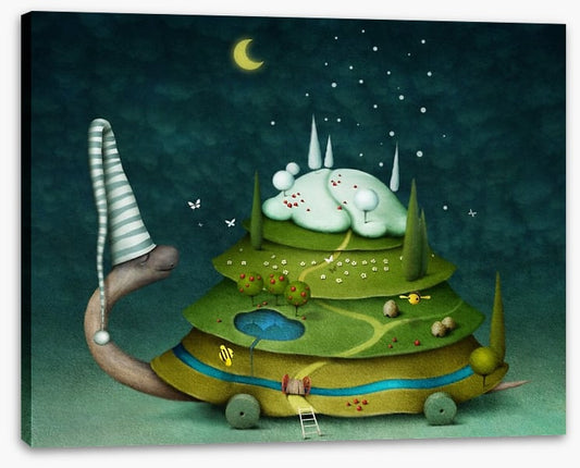 Sleeping fairy turtle