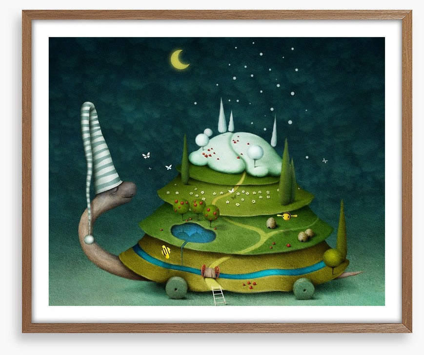 Sleeping fairy turtle