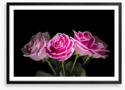 A rosy romance