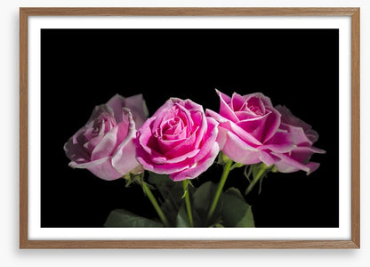 A rosy romance