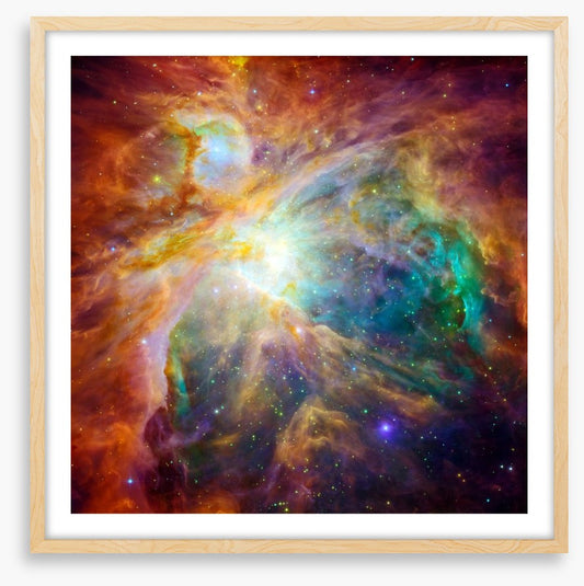 Orion Nebula