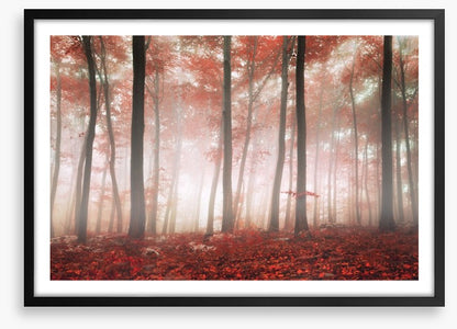 Red leaf forest