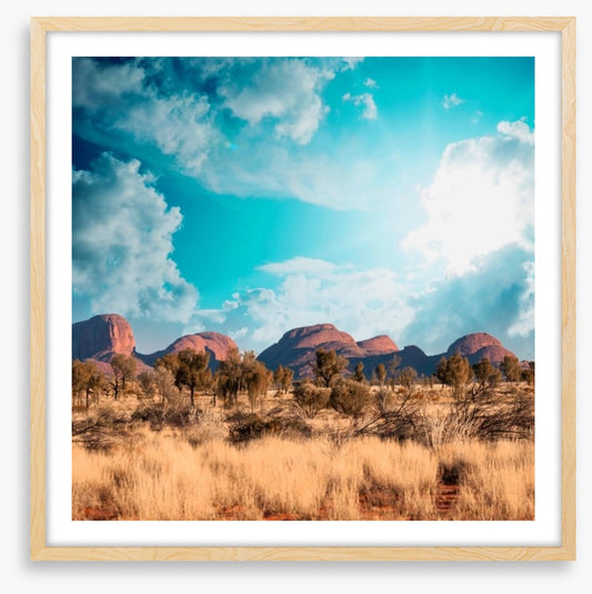Outback