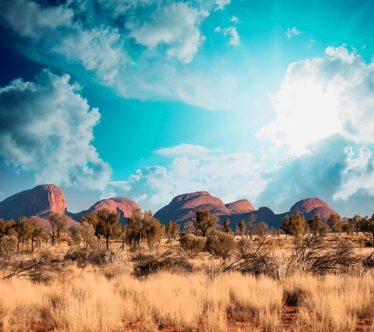 Outback