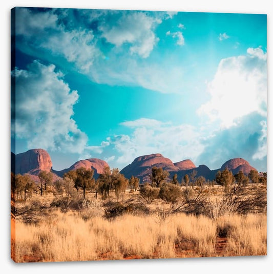 Outback