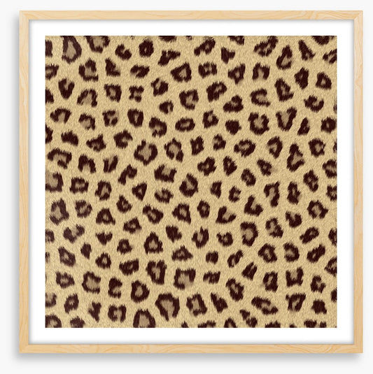 Animal Print