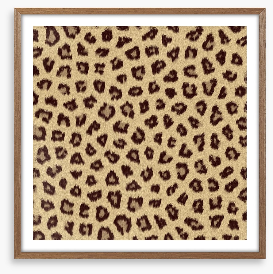 Animal Print
