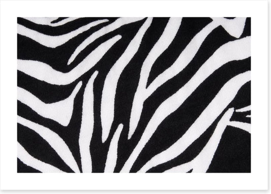 Animal Print