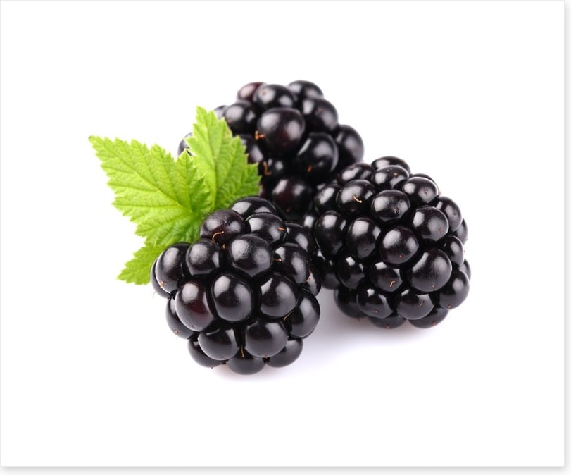 Blackberry trio