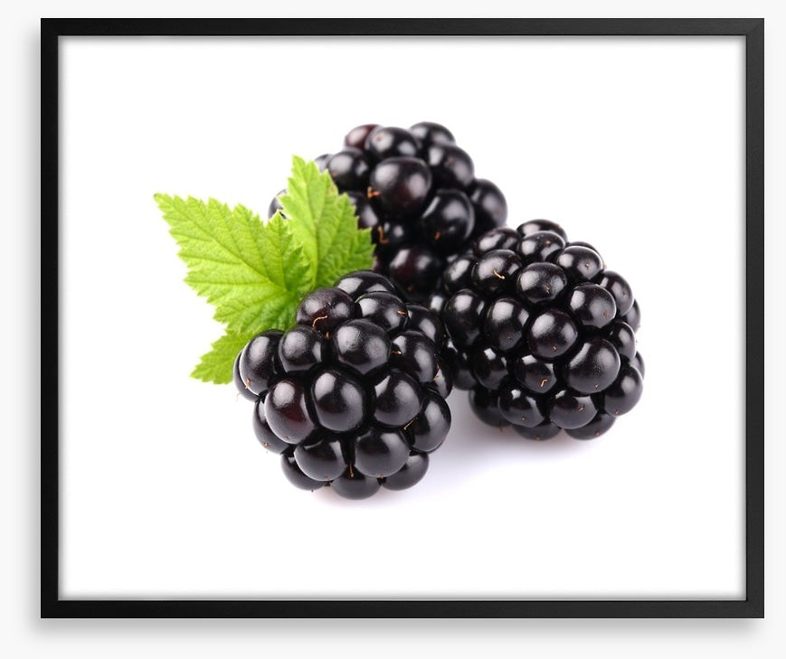 Blackberry trio