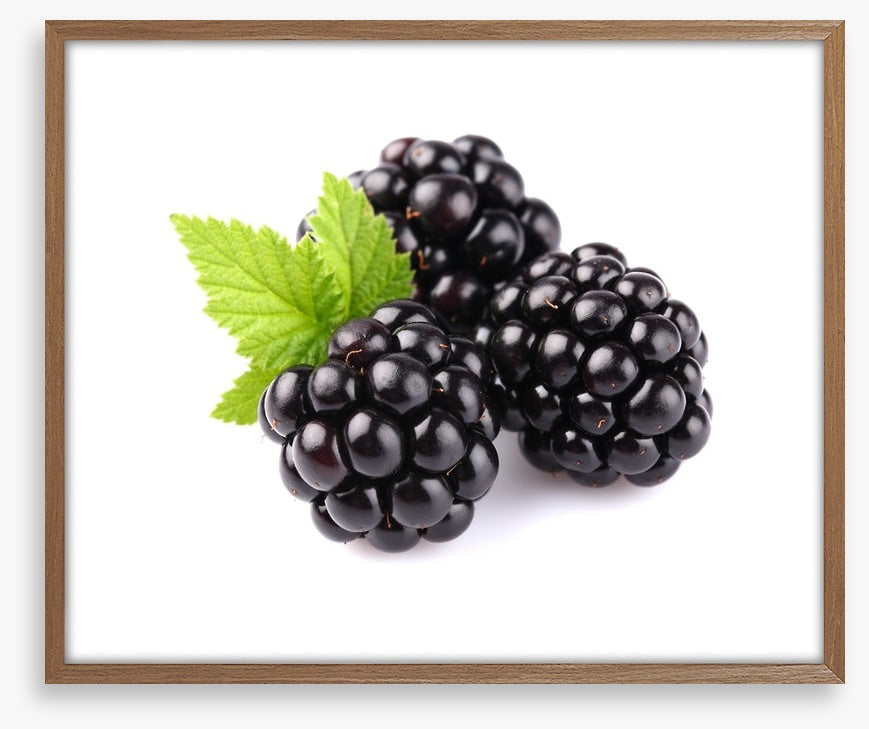 Blackberry trio