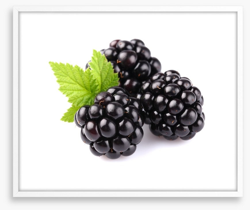 Blackberry trio
