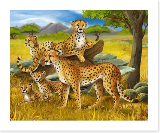 Cheetah safari