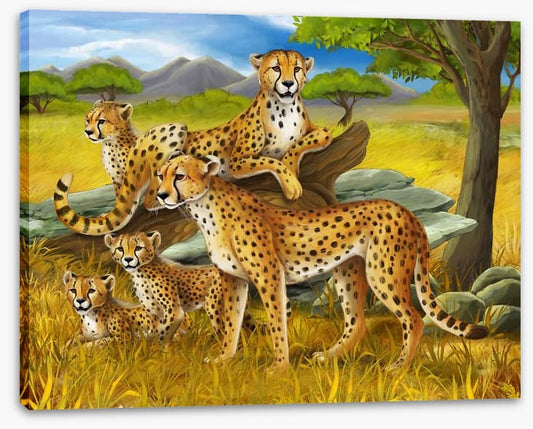 Cheetah safari