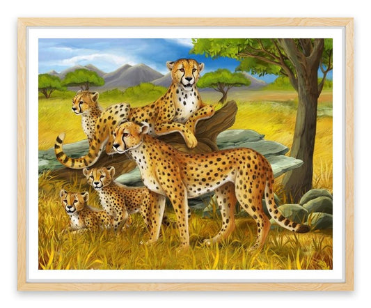 Cheetah safari