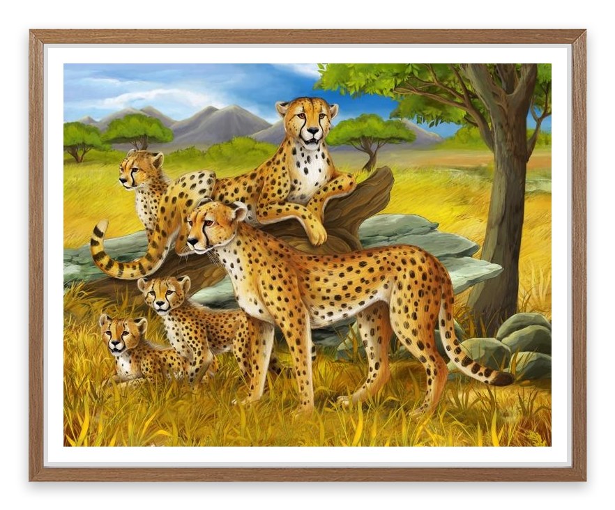 Cheetah safari