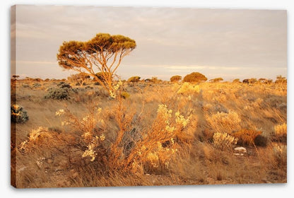 Alone on the Nullarbor