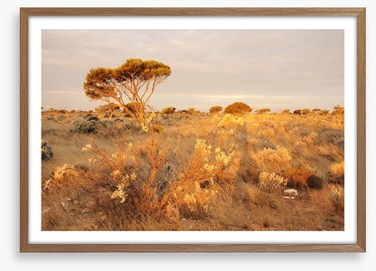 Alone on the Nullarbor