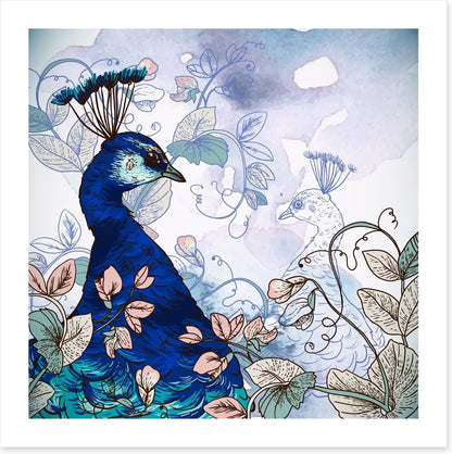 Peacock shadow