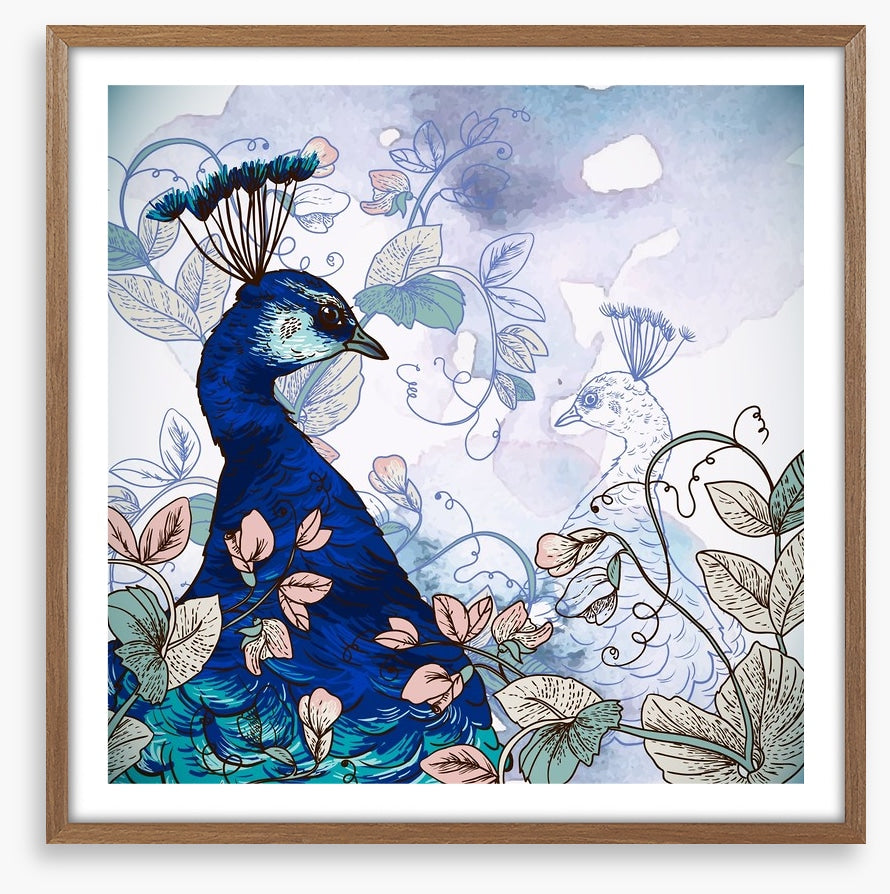 Peacock shadow