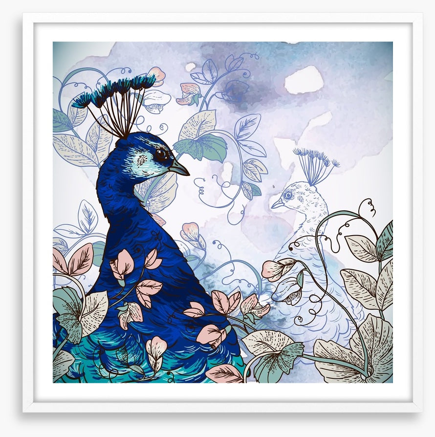 Peacock shadow
