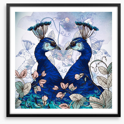 Peacock pair