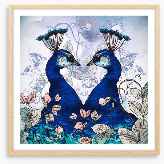 Peacock pair