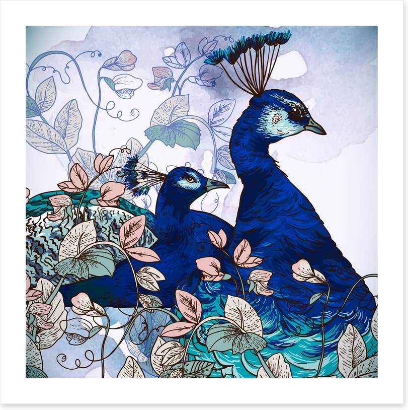 Peacock pair