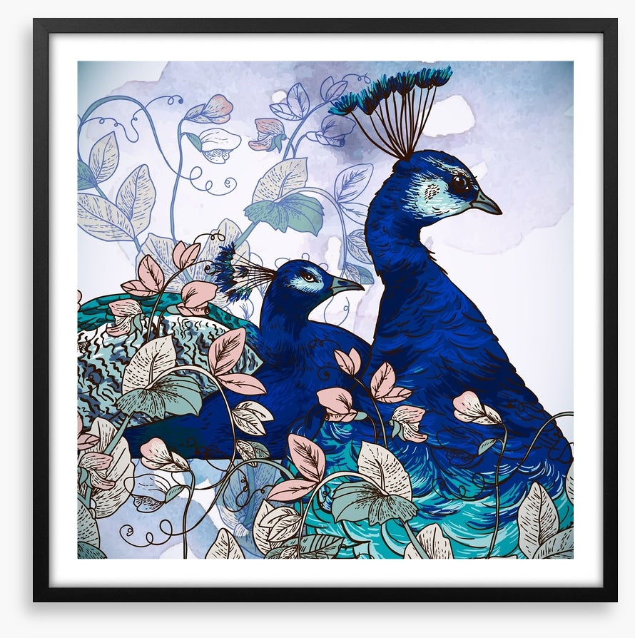 Peacock pair